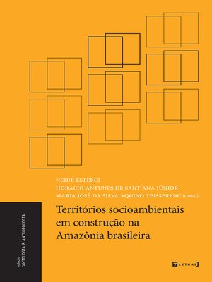 cover image of Territórios socioambientais em construção na Amazônia brasileira